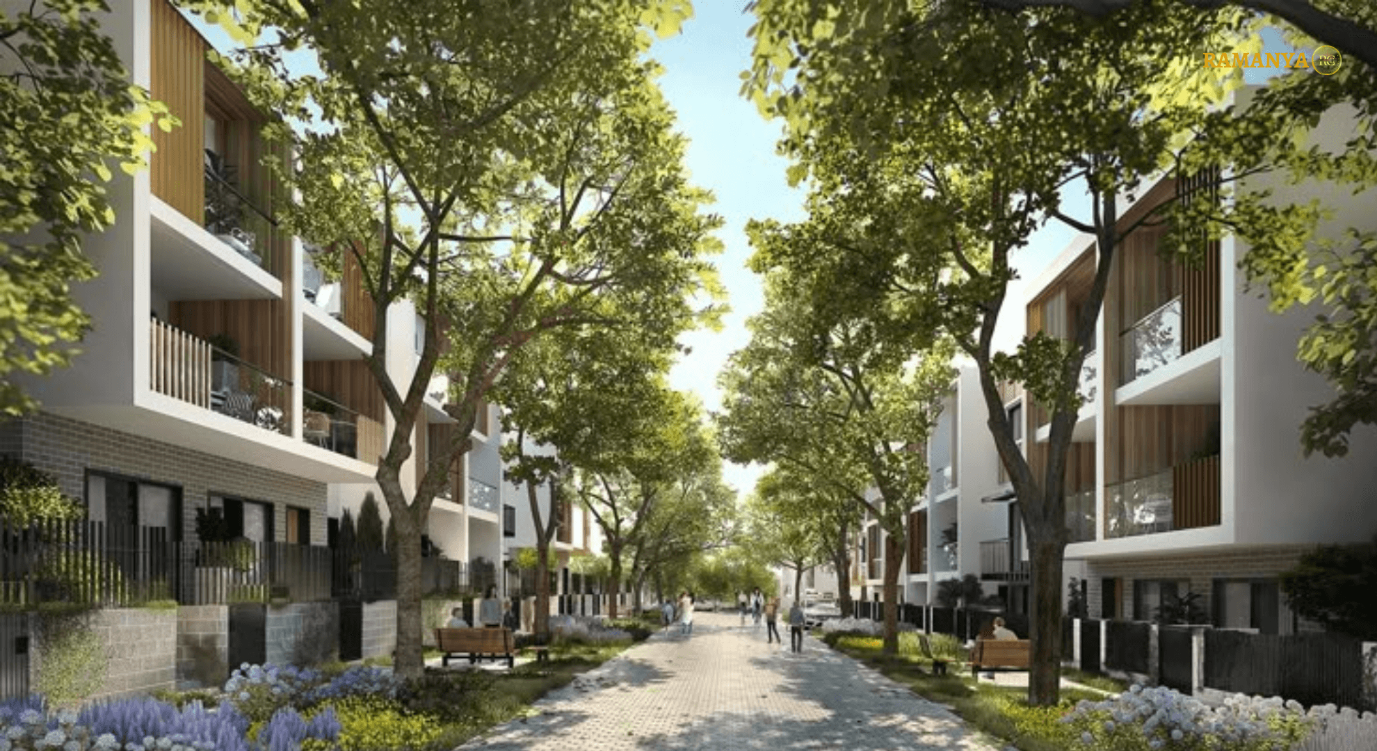 Modern houses lined with trees